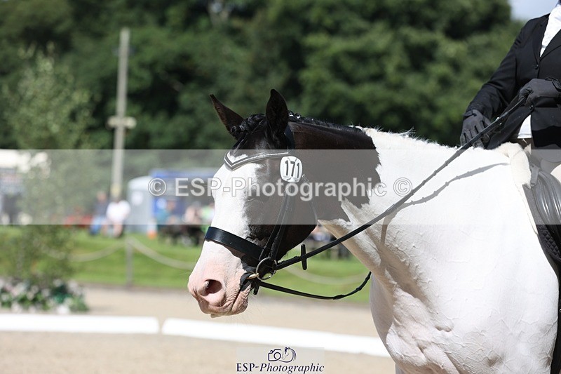 230811-113824-00896 - Cls 1 Prelim Bronze 11.10 to 12.35 break