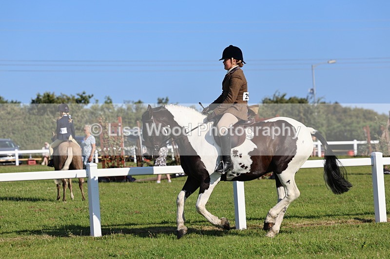 IMG_1382 - Class 28: Ridden Plaited Coloured Pony