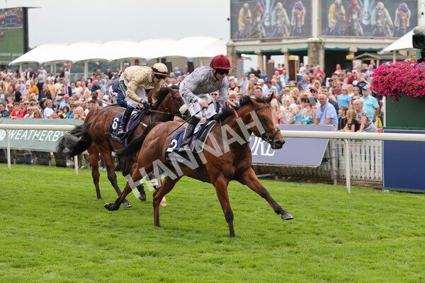 yr20082021r3-18 - Race 3 3.00pm Al Basti Equiworld Dubai Gimcrack Stakes
