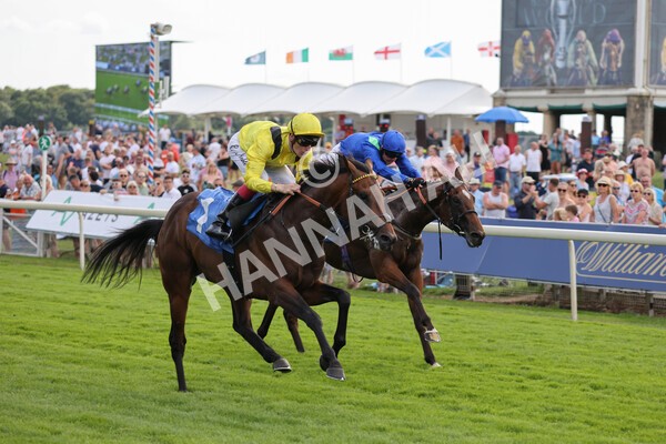 yr08072022r4-19 - Race 4 3.50pm William Hill Pick Your Places Stakes