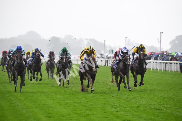 yr21082021r4-64 - Race 4 3.35pm Sky Bet Ebor