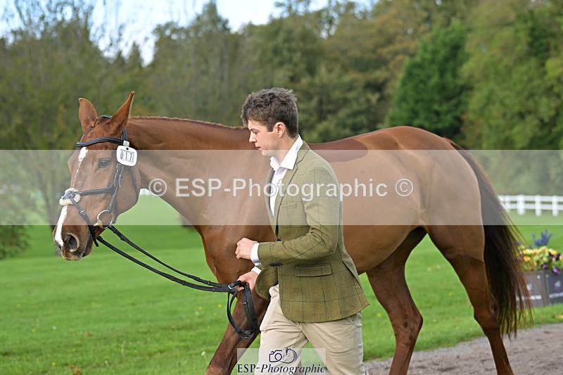 241023-132451-00273 - 017-Louis.Pern-CLASSICTOP.MISS.VIVIENNE