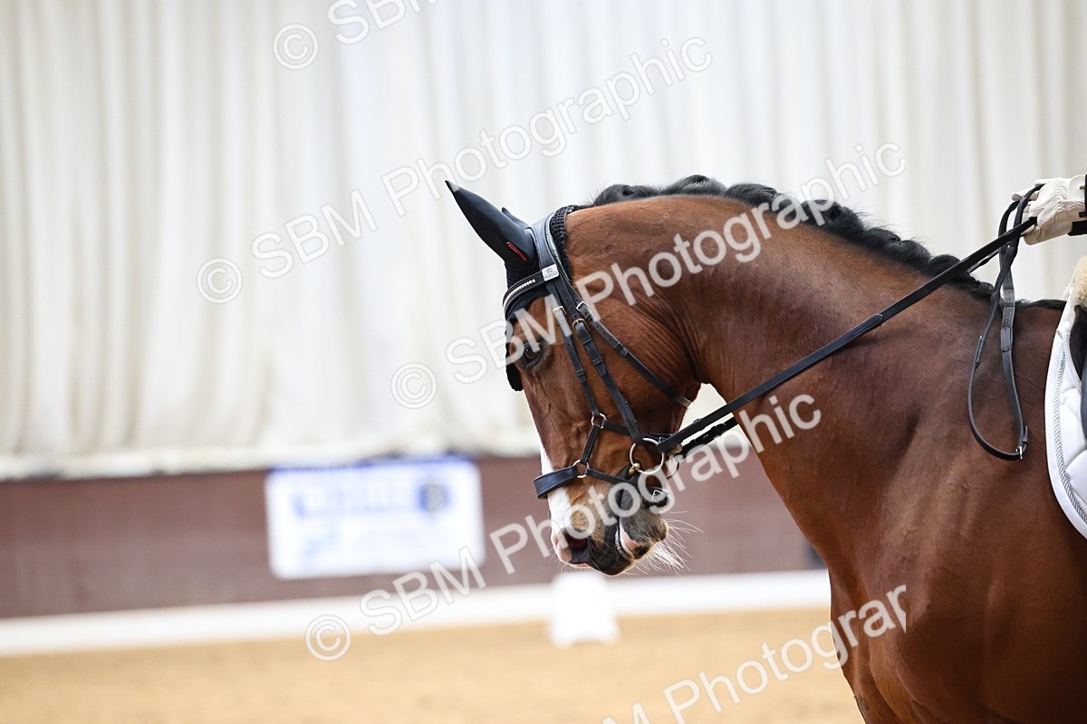 SBM_007989 - Class 21 - Medium 5