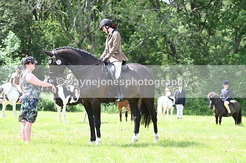 WJ7_1470 - Class 11 Condition & Turnout