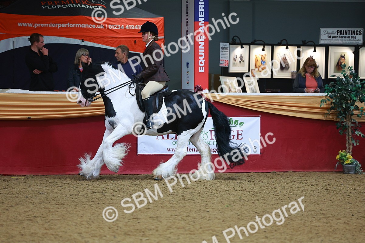 SBM_09755 - Class 102 - HOYS Veteran Qualifier - Ridden Veteran