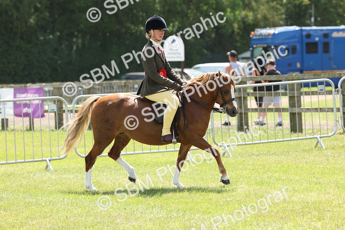 SBM_06781 - Class 26-30 - Mountain and Moorland Ridden