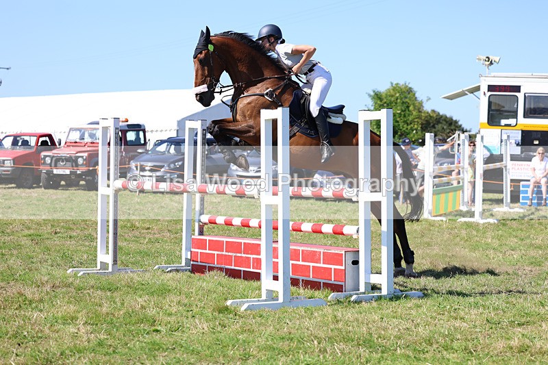 3E7A6487 - Class 13: Senior Newcomers/1.10m open