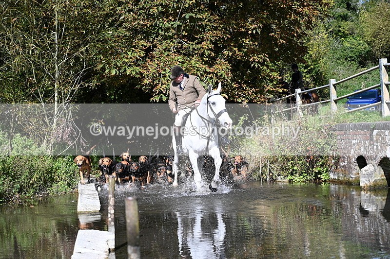 WJ7_5925 - Hounds Water Crossing