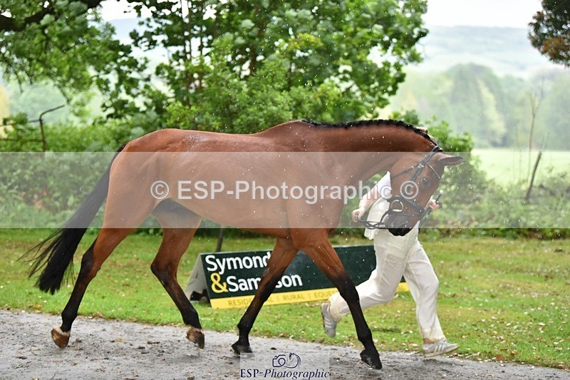 240522-161136-00770 - 158-MY_EASTWOOD_BRIGHTSIDE-Darcy_Zander