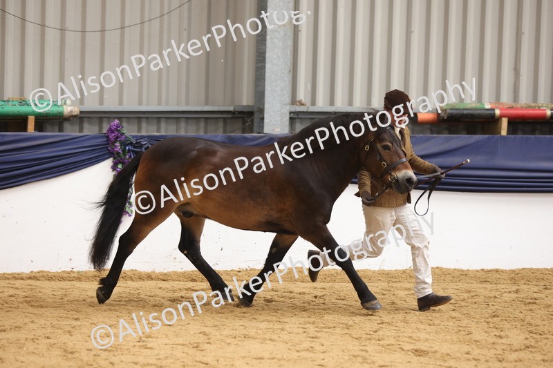 20260913-1443 - Class 114a - PoY Senior In Hand