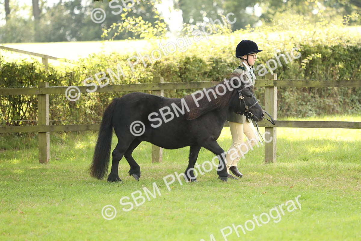 SBM_62762 - S46 - Mountain & Moorland In Hand Small Breeds