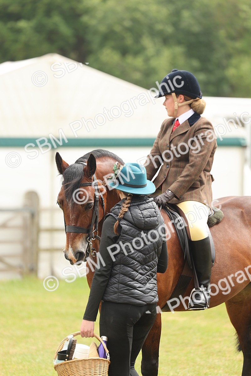 SBM_07219 - Class 76-77 - Ridden M&M Welsh Ponies