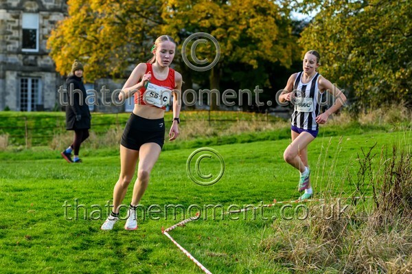 NatRel25-913923 - Young Female Set Two