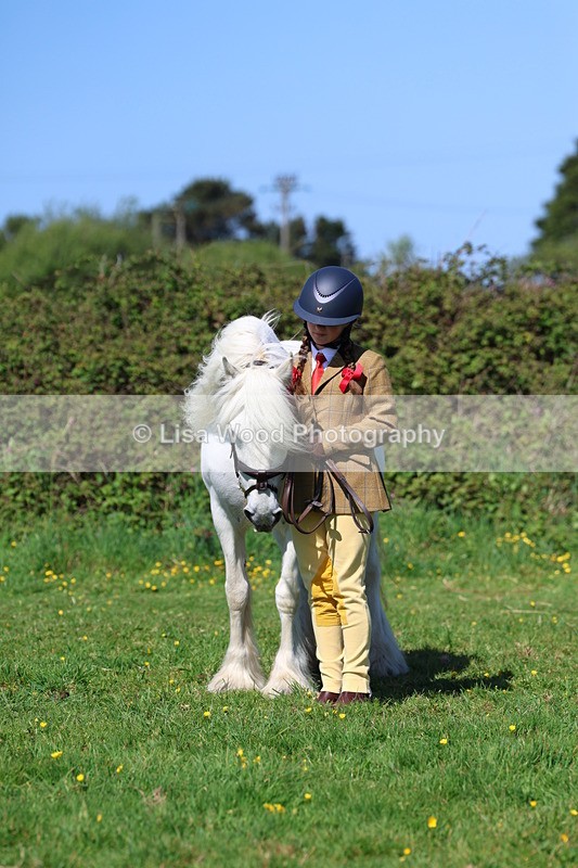 3E7A9845 - Class 17: Young Handler