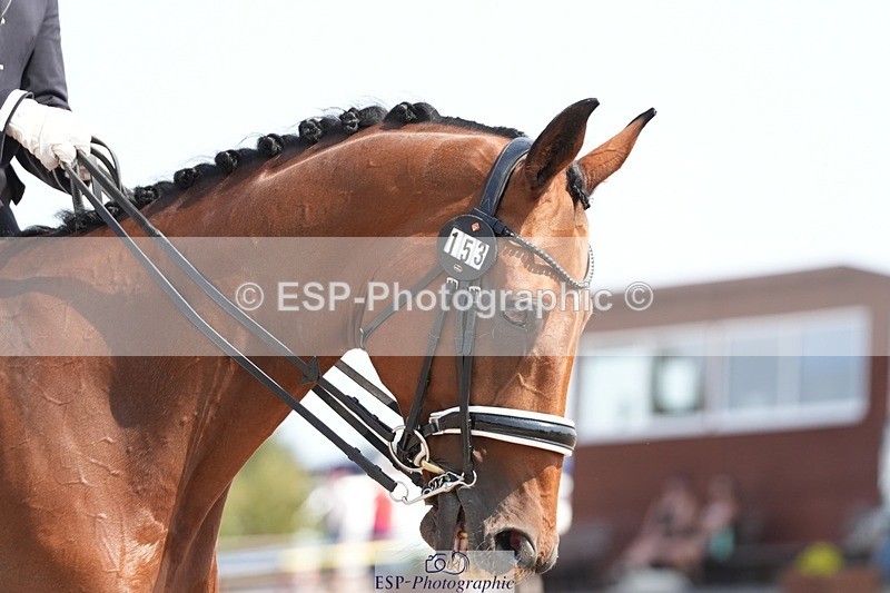 250817-120507-08982 - 153-Gary.ShimminKashmir.MMXXVIII