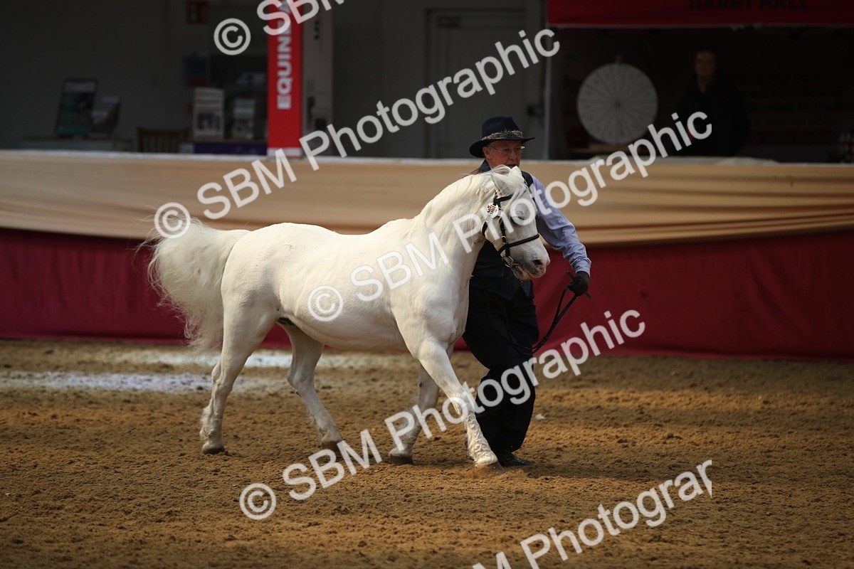 SBM_05379 - Class 8R - Regional IH Veteran