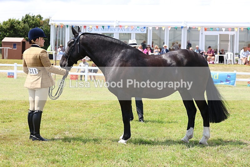 3E7A2172 - Class 10: Open Cob