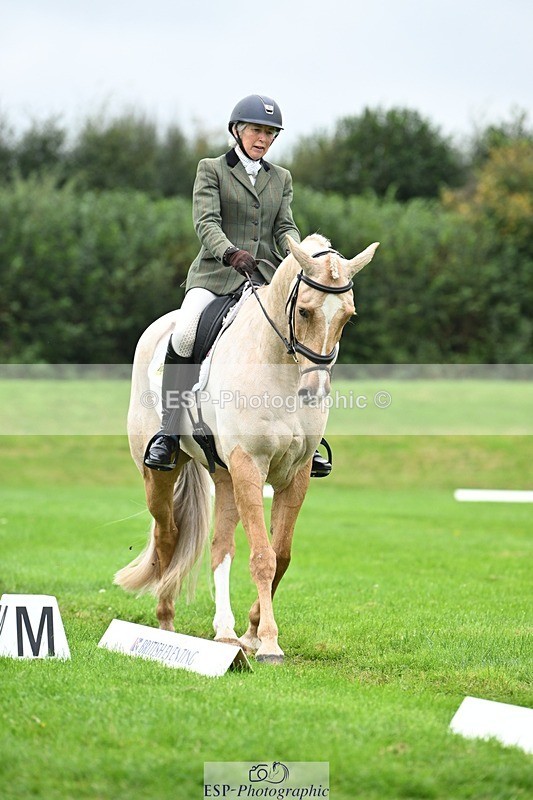 241024-125112-03530 - 519-Jane.Rogers-CORRIEVIEW.MERLIN.MAGIC