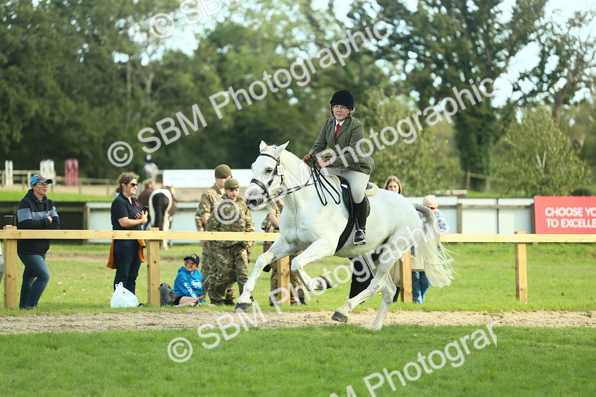 SBM_50713 - S33 - Working Hunter & Working Show Horse