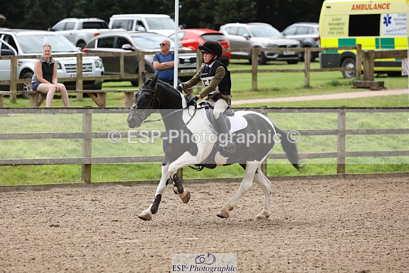 240804-133319-14308 - 555-Jack_Wish-WESTERLAKE_BUTTONWEED