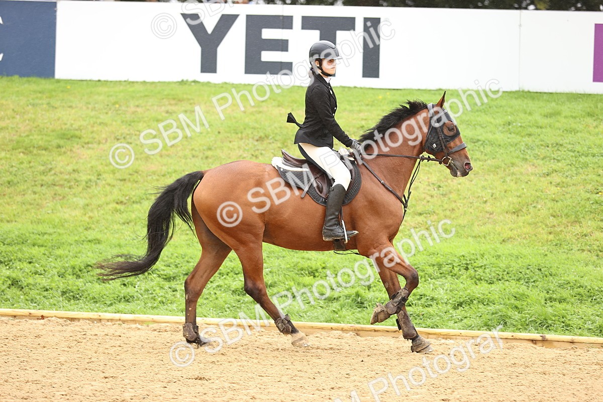SBM_73313 - J19 - Junior Horse & Pony 90cm Supreme championship