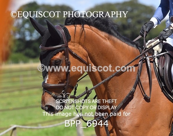 BPP_6944 - CLASS 7 Senior Foxhunter/ 1.20m Open