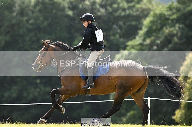 240825X-150236-35575 - 80cm XC 14.30 to 15.30