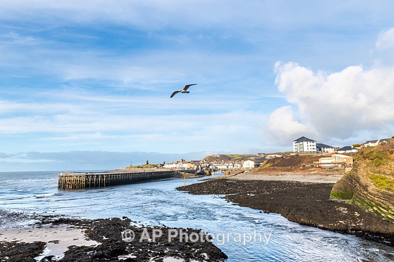 ANT_1954-1 - Aberystwyth_02