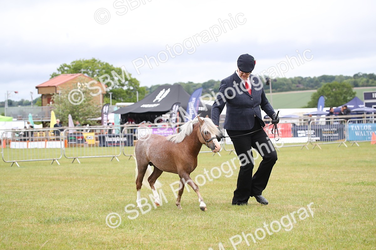 SBM_03805 - Class 23-25 - British Miniature Horse of the Year