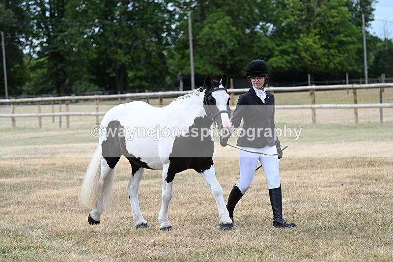 WJ7_1466 - Class 4 Prettiest Mare up to 14.2hh in hand