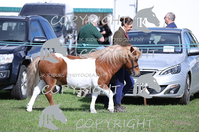 APP_2741 - Class 10a/b M&M in hand