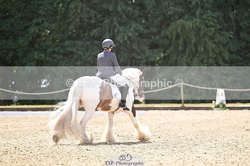 260802A-123325-06268 - Novice Silver break- end