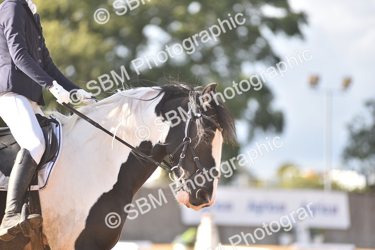 SBM_48958 - D24 - Junior Championship Prelim 3