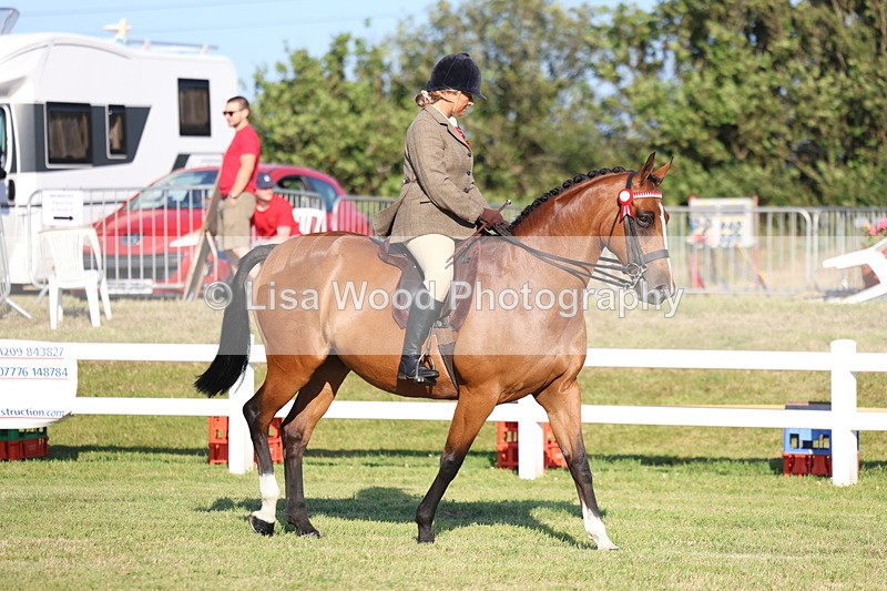 3E7A4886 - Class 1: Rising Star Small Hack/Riding Horses