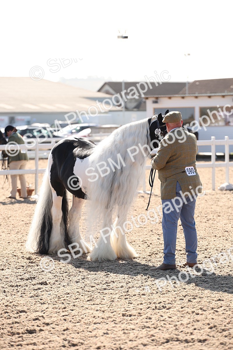 SBM_01547