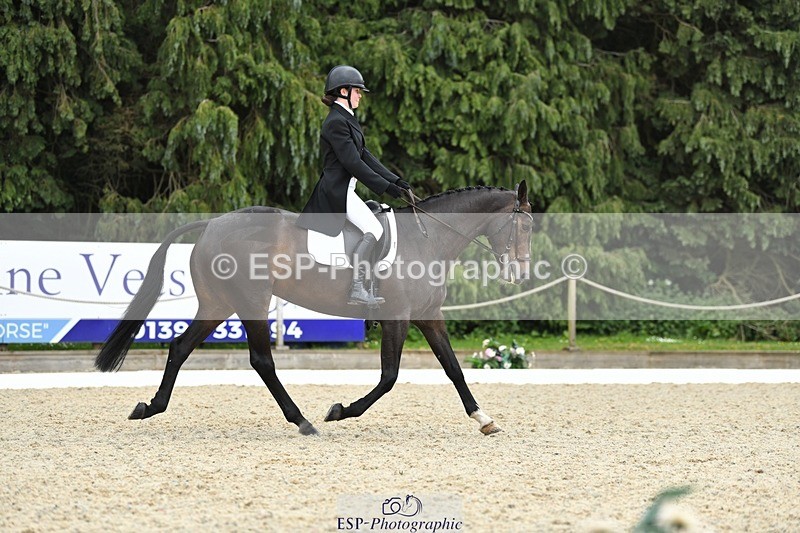 230525-142018-03132 - 320-CAVALIER_GUNFIRE-Tabitha_Baker-WEDTrotUp+DR
