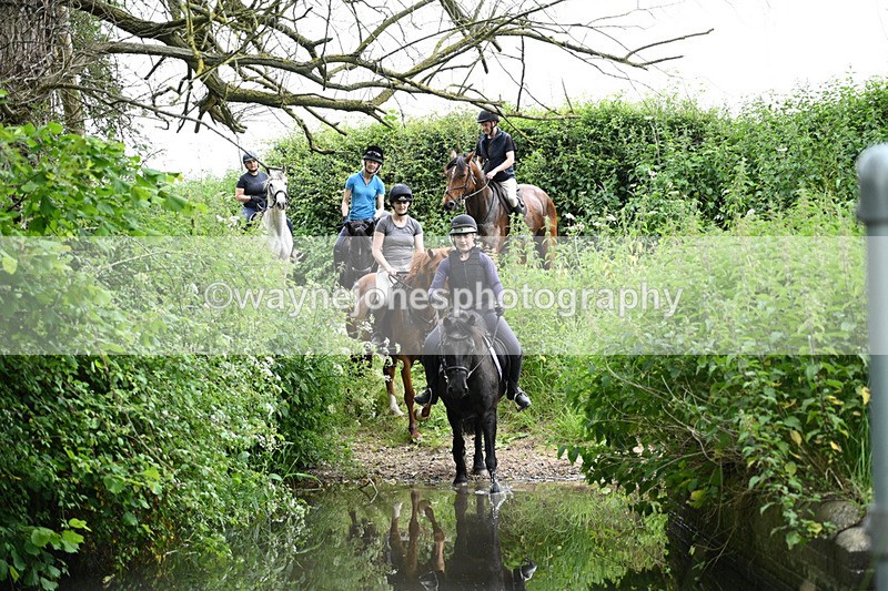 WJ7_1933 - Camera 2 Water Crossing
