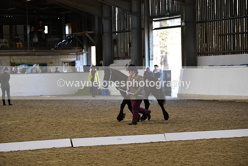 WJ5_3801 - Class 5 In Hand Veterans