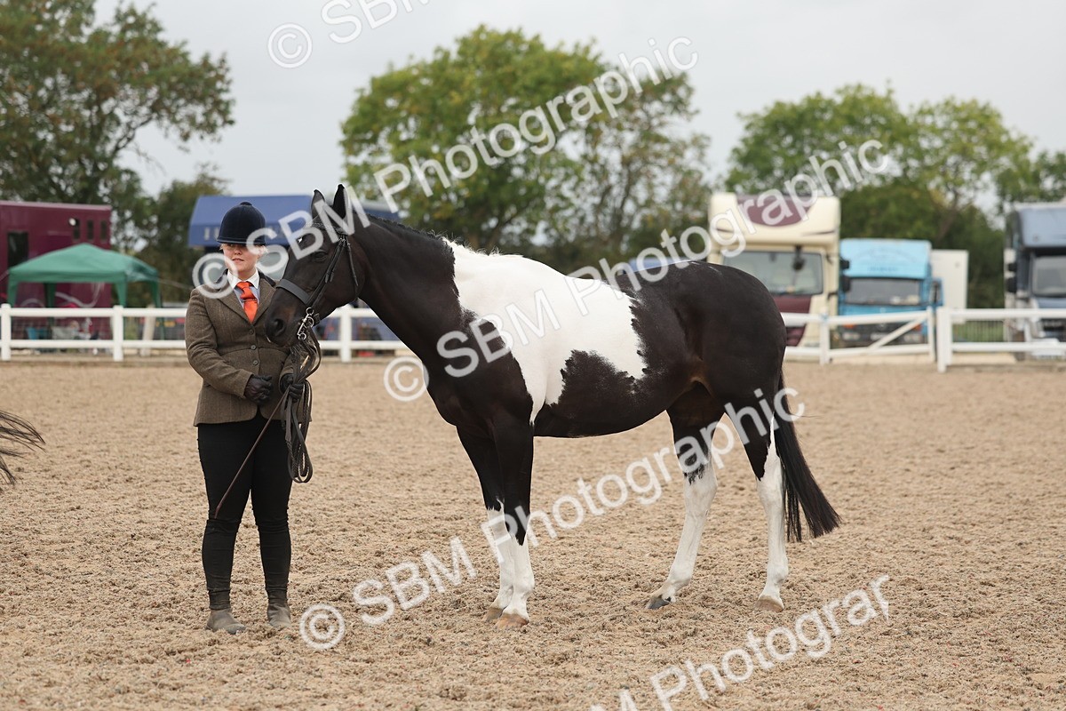 SBM_19858 - Class 318 - IH Part Bred Horse-Pony