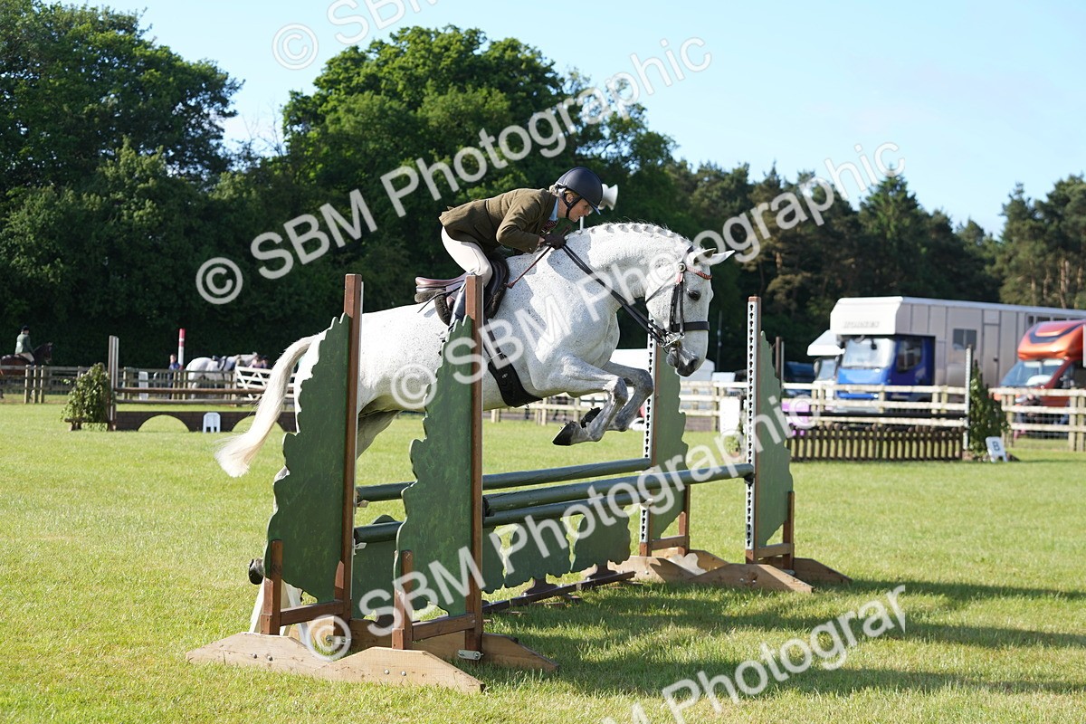 SBM_10556 - Class 97-98 - LIHS BSHA Rising Star Working Show Horse Hunter