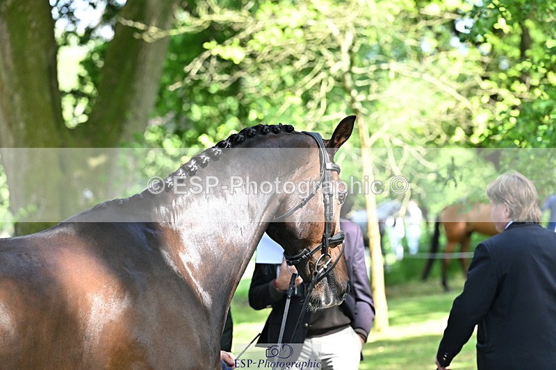 250521A-155004-00792 - B-372-Stephen.Heal-HISCO