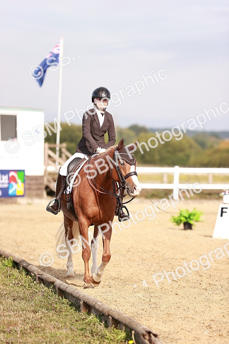 SBM_016872 - Class 10 - Medium 6