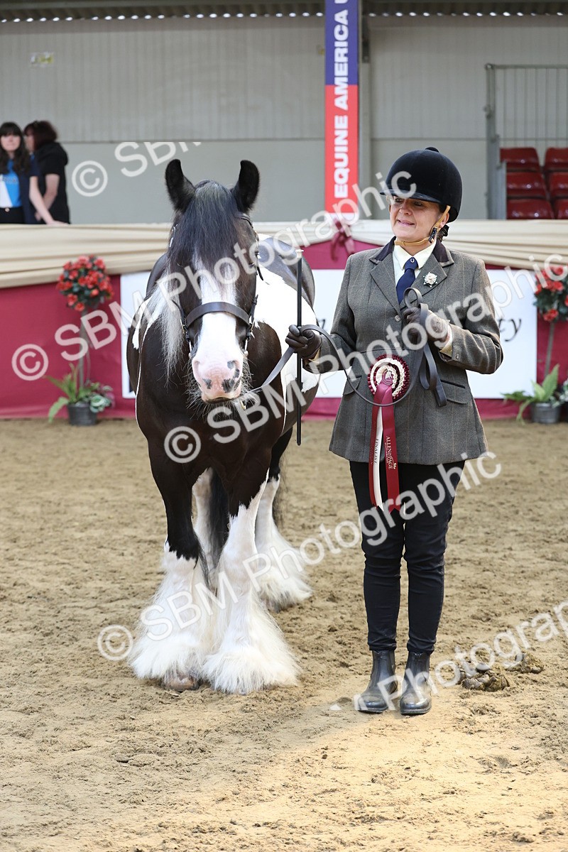 SBM_23410 - Class 903 - Supreme Final - IH Pre Vet