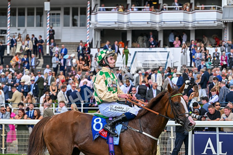 220826-Race 4-Daiquiri Bay-0594 - Race 4 15.35pm Sky Bet Ebor Handicap