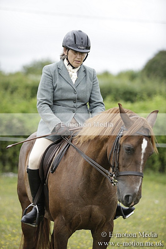 BVR160717-1341 - Ring 1 BVRC Show 16/07/17