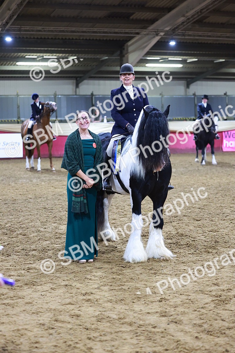 SBM_15438 - Class Q - Ridden Horse Champ