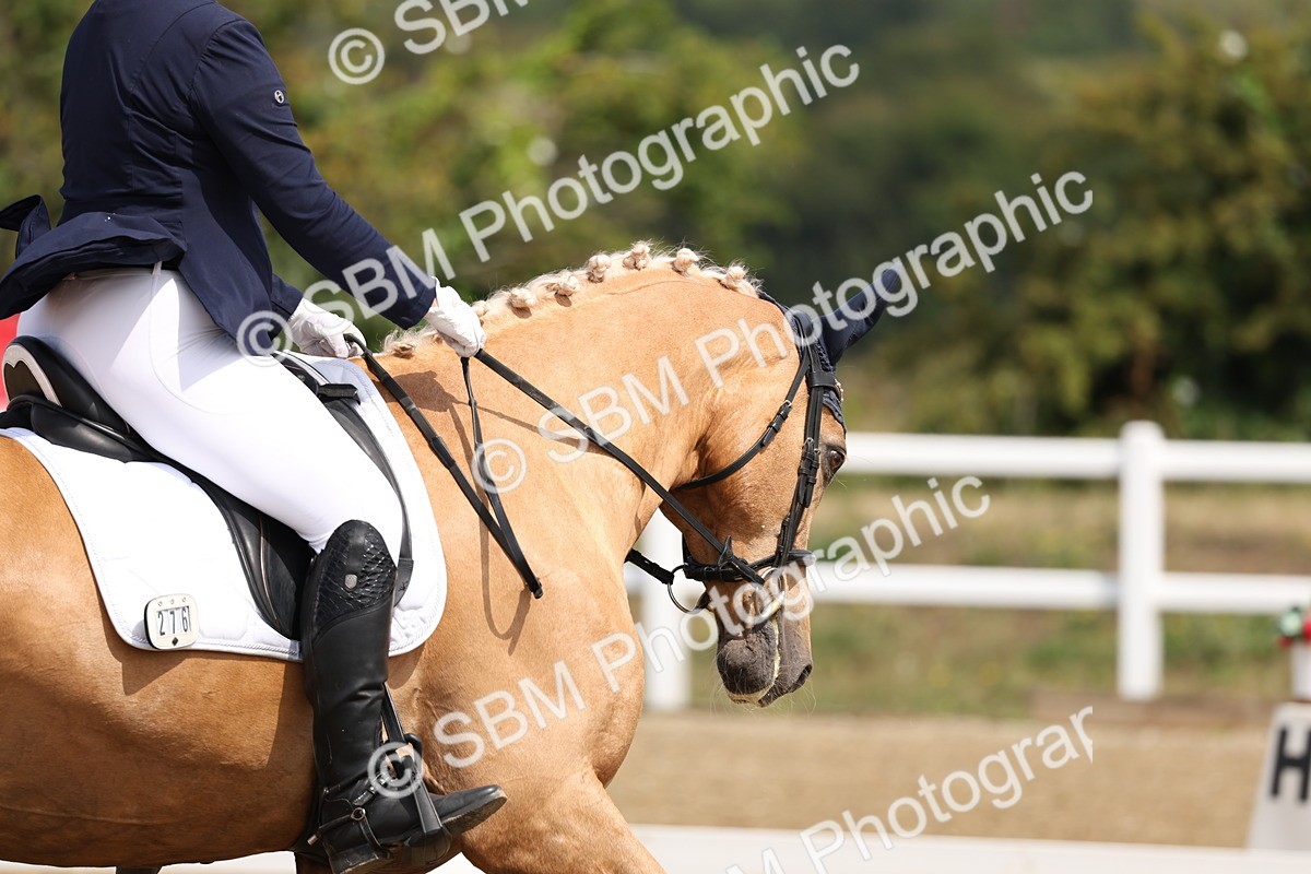 SBM_006134 - Class 6 - novice 6 - 11.50-12.46