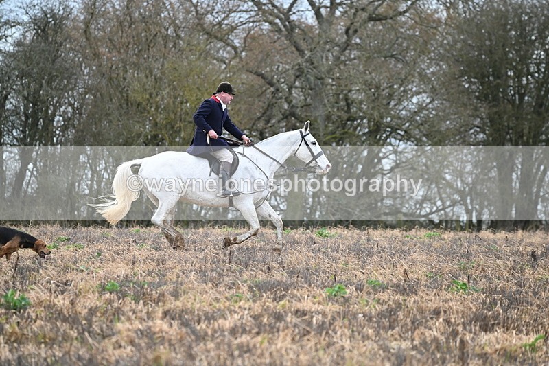 WJ6_9472 - Line Four