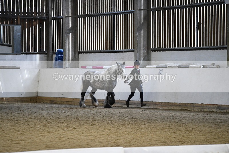 WJ5_5199 - Class 8 In hand cob