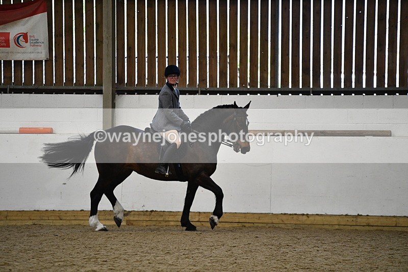 WJ5_7769 - Class 13 Ridden Part Breed